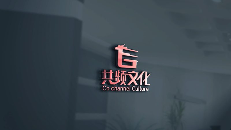 纪录片拍摄素材格式标准：解码高质量内容制作的关键